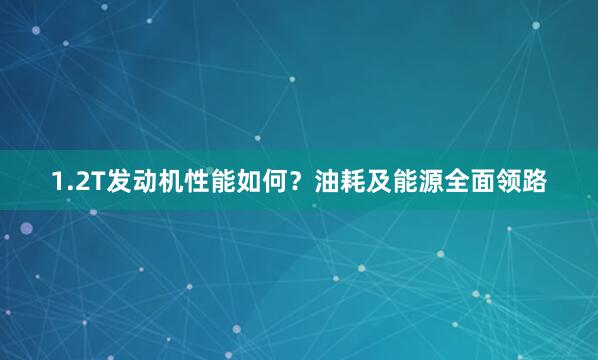 1.2T发动机性能如何？油耗及能源全面领路